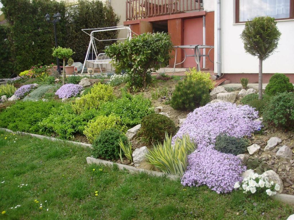 Apartman Berki Hévíz Rum bild